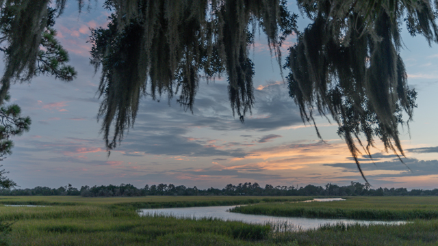 Salt marshes are one of the South’s iconic settings. Part liquid, part solid, they are an ever-shifting landscape that can stretch for miles before it meets the sea. Photo credit: Changing Seas